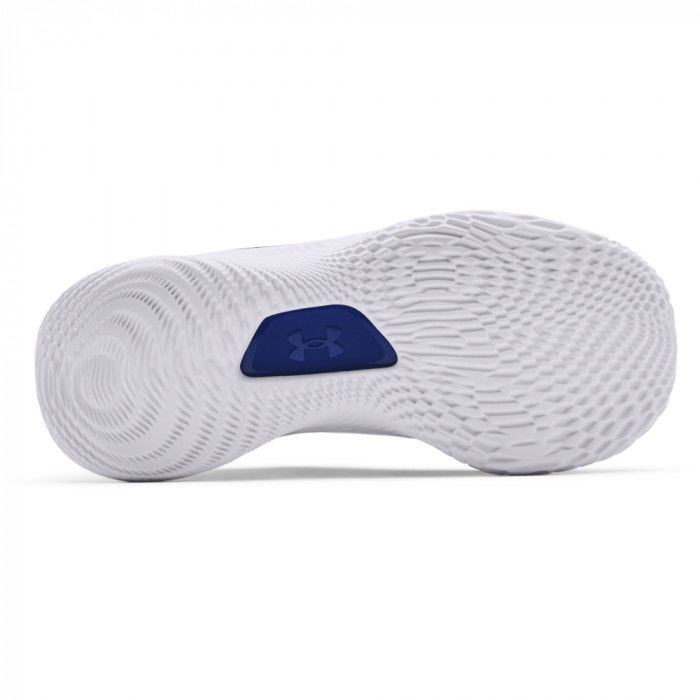 curry 8 blue and white