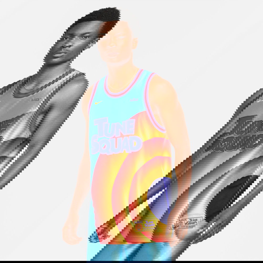 basket lebron space jam