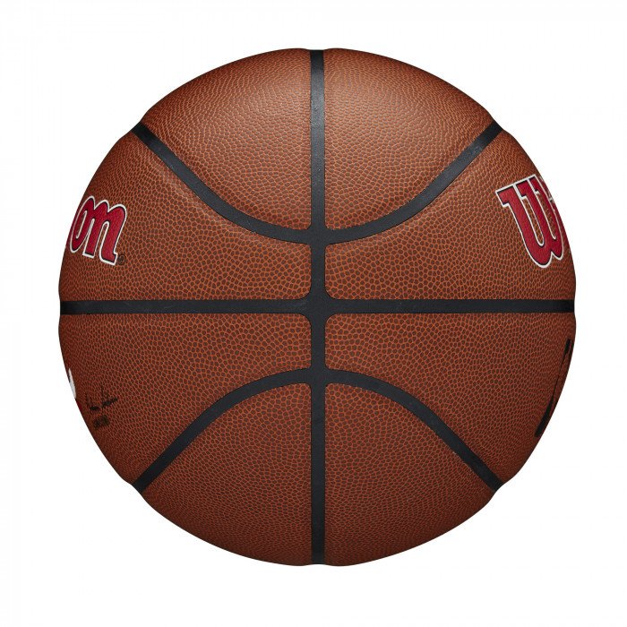 Ballon Wilson NBA Team Alliance Chicago Bulls image n°4