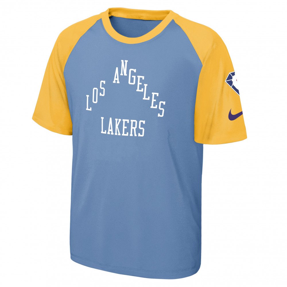 LeBron James Los Angeles Lakers Youth Icon Name & Number T-Shirt - Gold