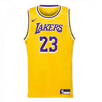 Maillot NBA Enfant Lebron James Los Angeles Lakers Icon Edition | Nike