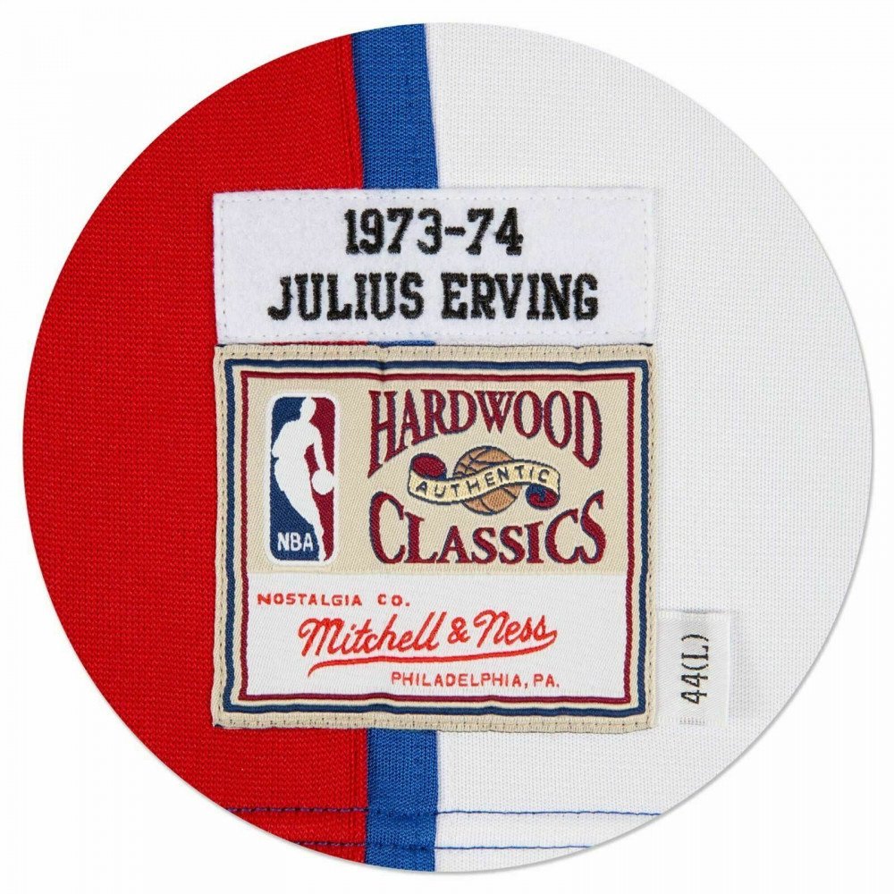 Men's New York Nets Julius Erving Mitchell & Ness Blue 1973-74
