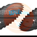 Ballon Wilson NBA Team Alliance Charlotte Hornets