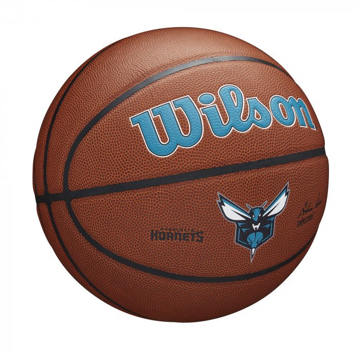Ballon Wilson NBA Team Alliance Charlotte Hornets image n°2