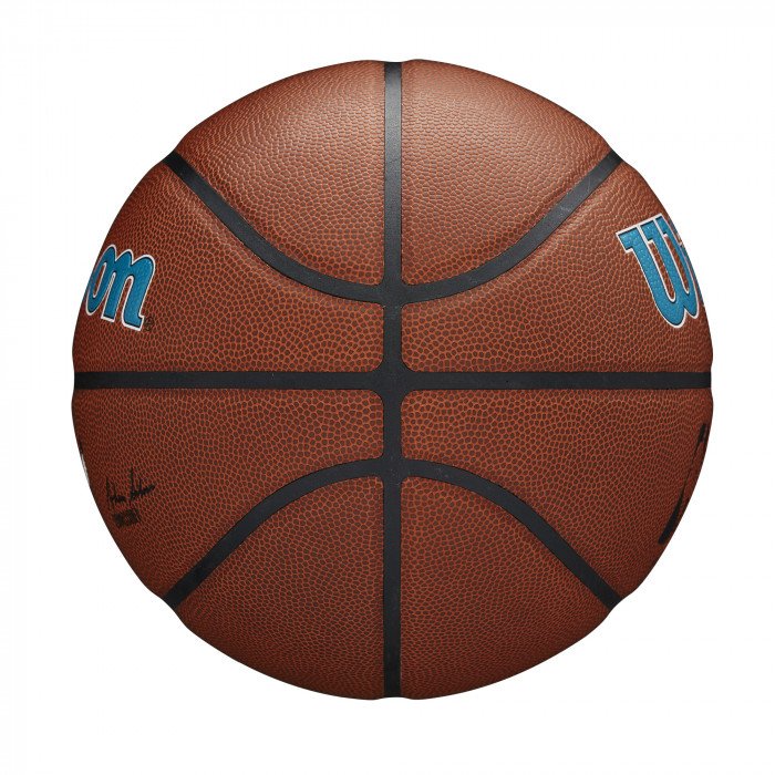 Ballon Wilson NBA Team Alliance Charlotte Hornets image n°4