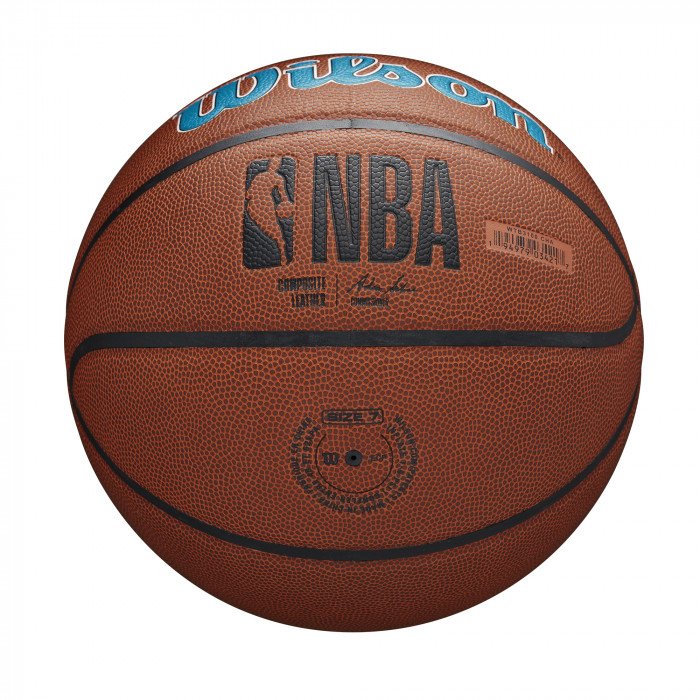 Ballon Wilson NBA Team Alliance Charlotte Hornets image n°6