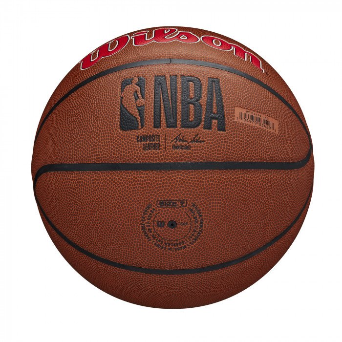 Ballon Wilson NBA Team Alliance Los Angeles Clippers image n°6