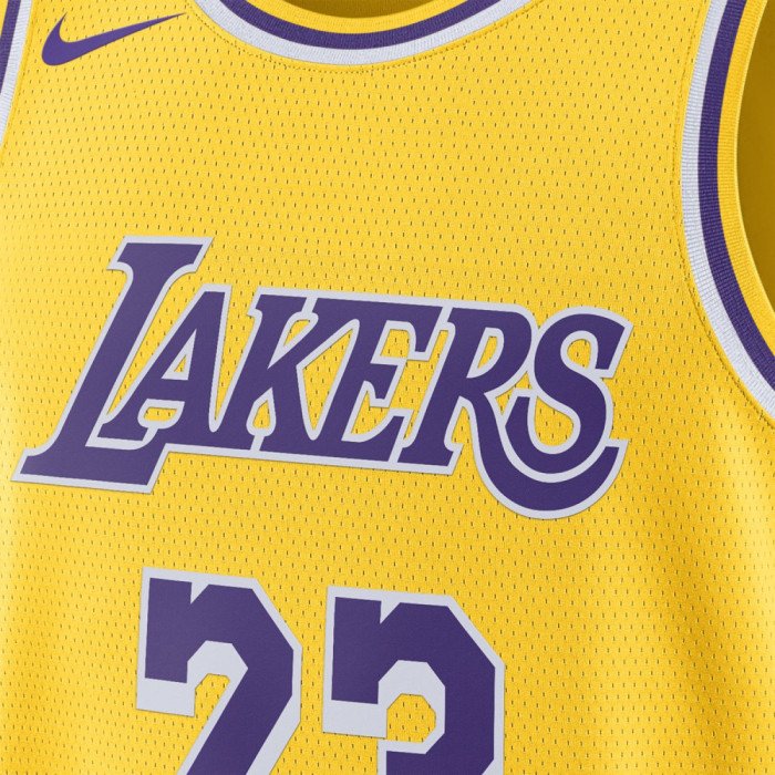 Maillot NBA Lebron James Los Angeles Lakers Icon Edition 2023/2024 23 image n°2