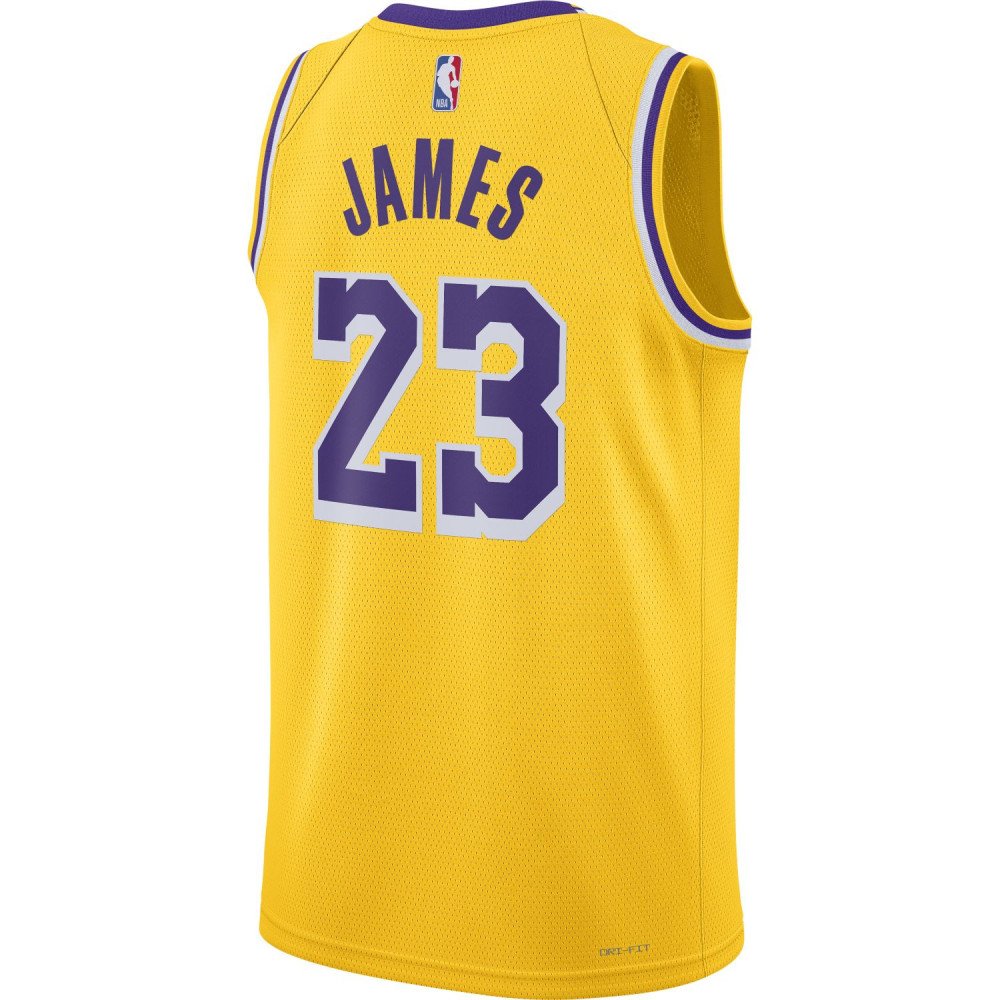 Maillot NBA Los Angeles Lakers 2023-24 LeBron James 23# Violet ROTY Edition  Swingman