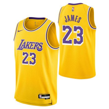 Boys Icon Swingman Jersey Los Angeles Lakers Lebron James NBA | Nike