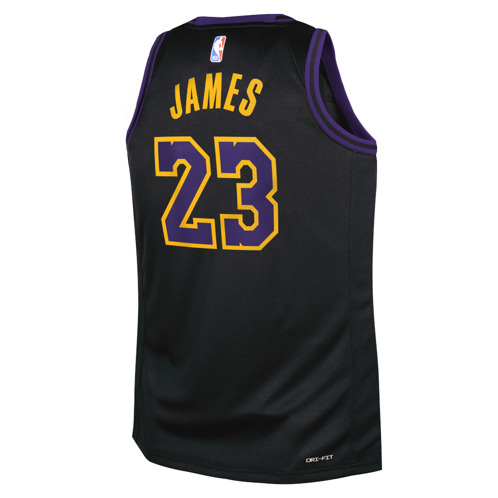Achat Los Angeles Lakers Icon Edition LeBron James maillot de basket hommes  hommes pas cher