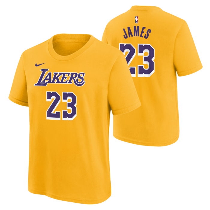 T-Shirt NBA Petit Enfant Los Angeles Lakers Lebron James Nike Icon Edition image n°3