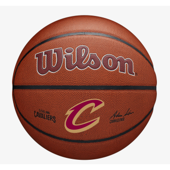 Ballon Wilson NBA Team Alliance Clevland Caveliers Brown | Wilson