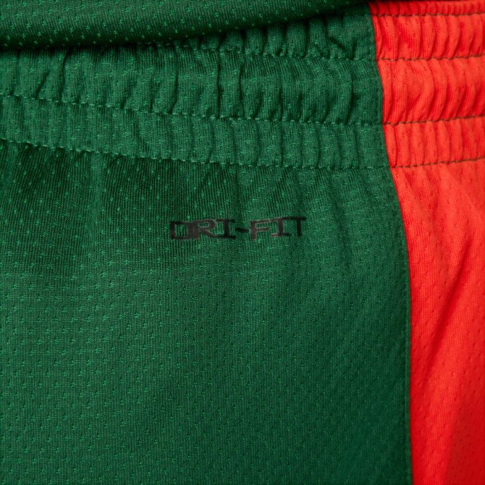 Short Nike Team Lithuania Limited Road image n°7