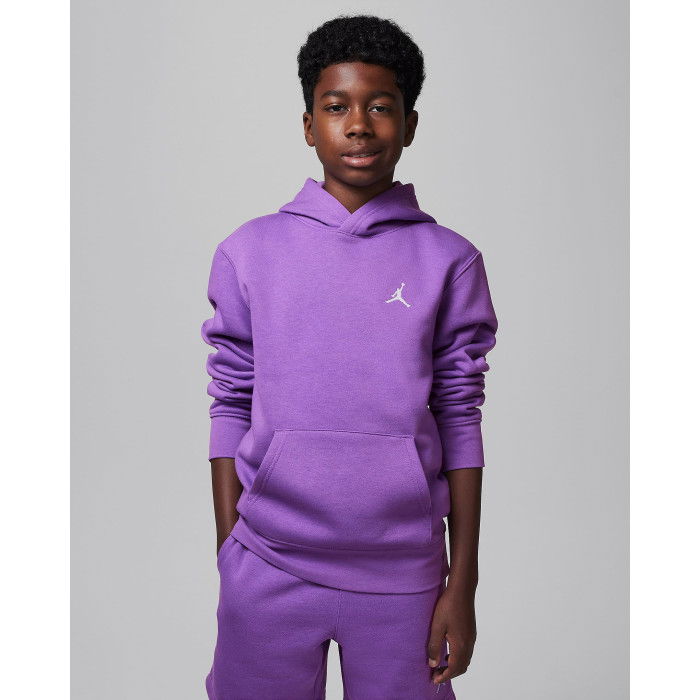 Sweat à capuche Jordan Brooklyn Flc Purple image n°1