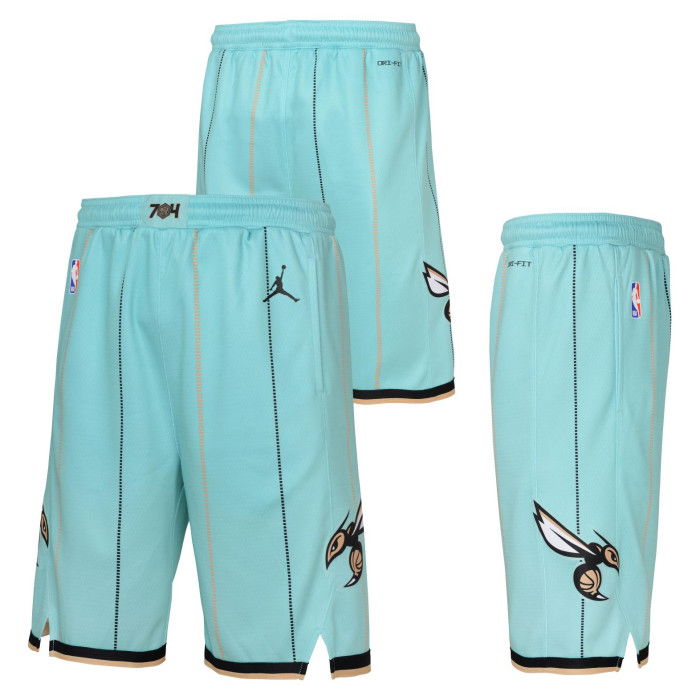 Short NBA Charlotte Hornets 2024/25 Nike City Edition Swingman image n°4