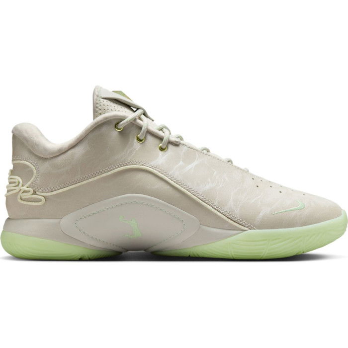 Nike Lebron 22 Dunkman