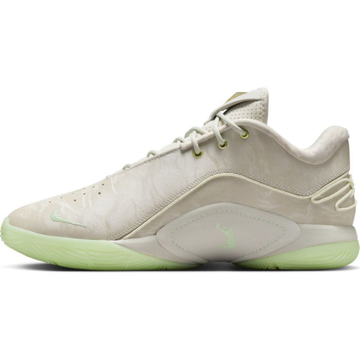 Nike Lebron 22 Dunkman