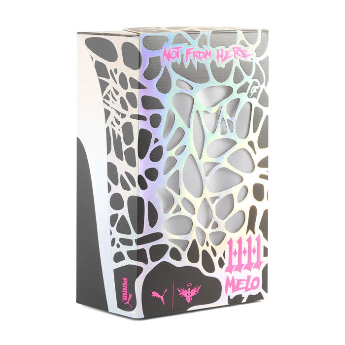 Puma MB.04 Reflections