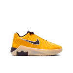 Color Jaune du produit Nike LeBron Witness 9 Yellow Enfants GS