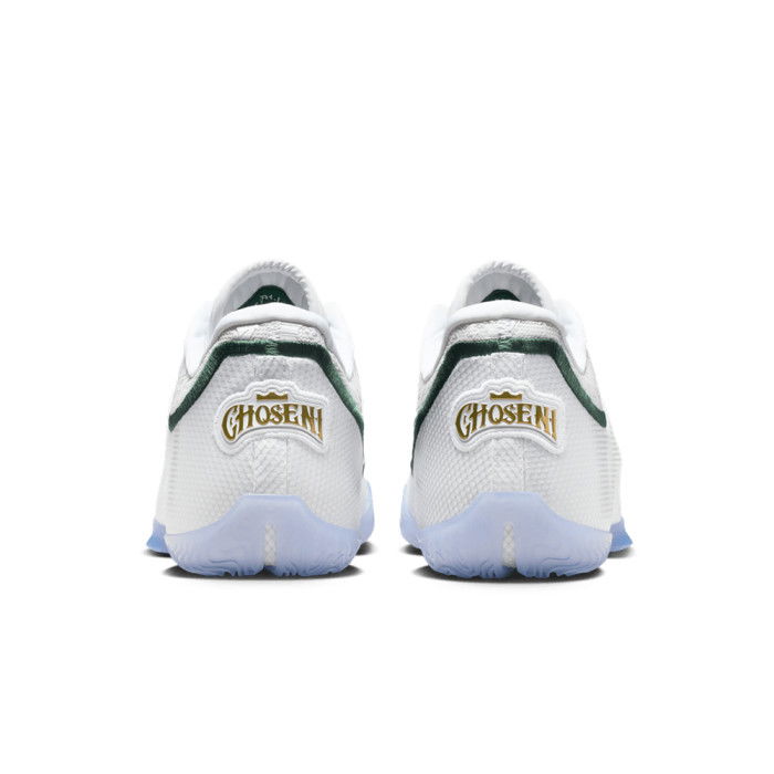 Nike LeBron 23 From This Point Forward