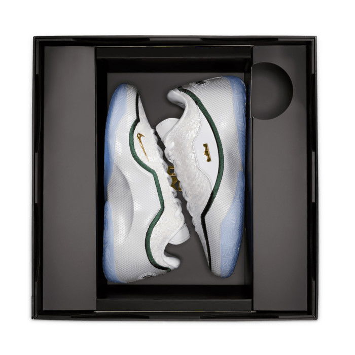 Nike LeBron 23 From This Point Forward