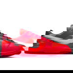 Color Orange du produit Nike Dunk Low Gore-tex total crimson/lt iron ore-lt...