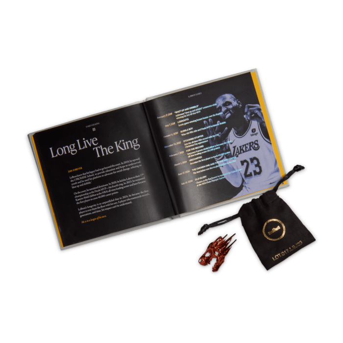 Nike LeBron 23 LeBronto