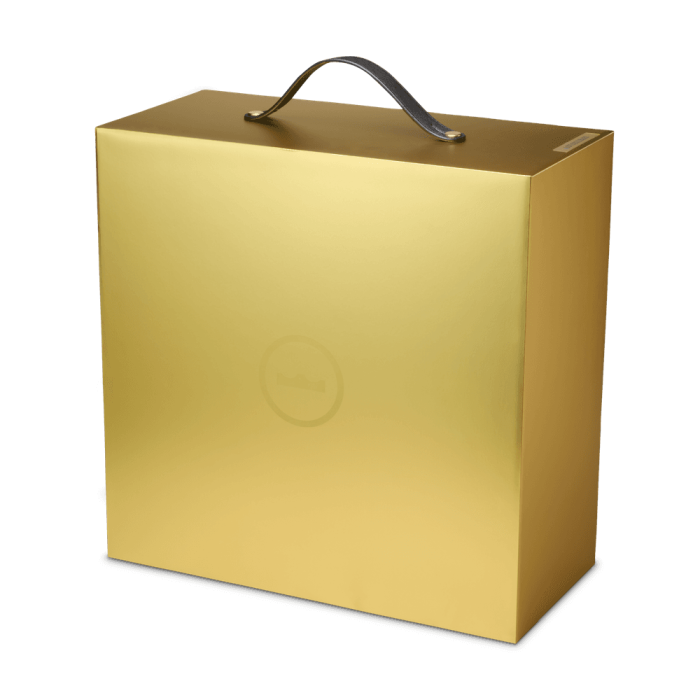 Nike LeBron 23 LeBronto