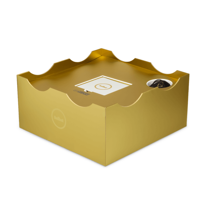 Nike Lebron 23 Elite For The Record