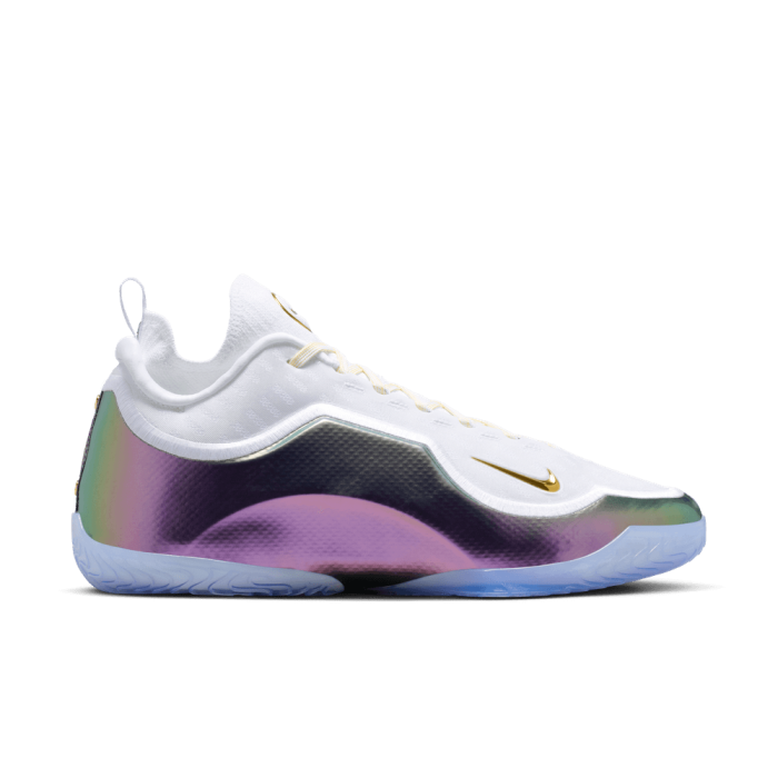 Nike Lebron 23 Elite For The Record