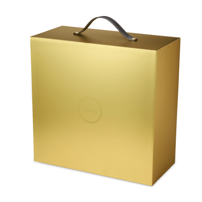 Nike Lebron 23 Elite For The Record