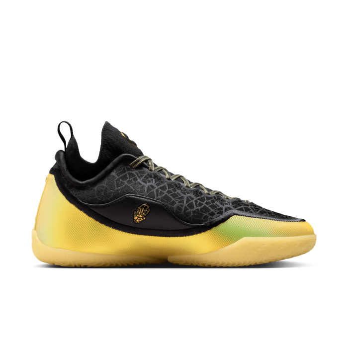 Nike LeBron 23 Elite Hurt Feelings Write History