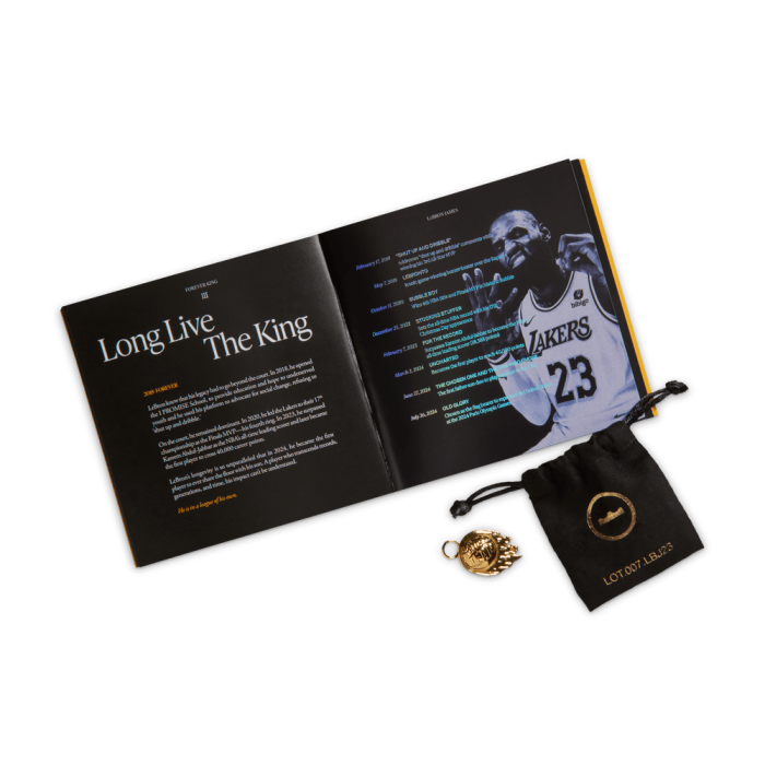 Nike LeBron 23 Motor King