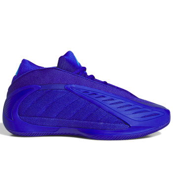 adidas A.E. 2 Playoffs