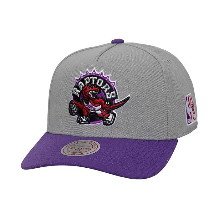 Casquette NBA Toronto Raptors HWC Legendary Home Pro Snapback Mitchell & Ness