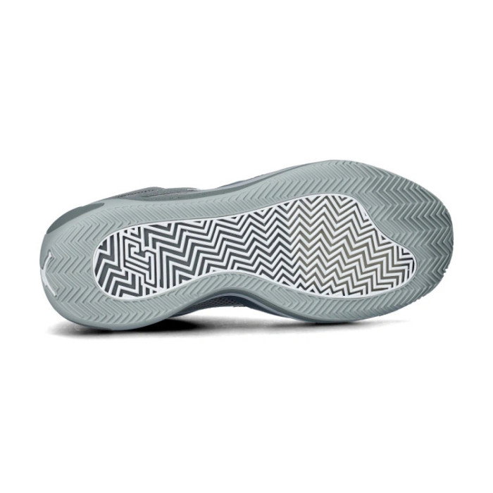 Jordan Tatum 4 Cool Grey