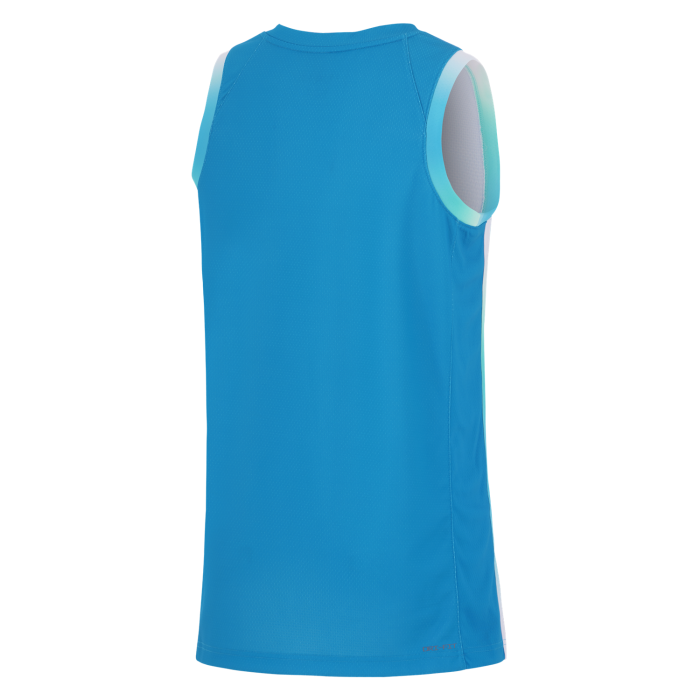 Maillot Jordan Team Slovenia Limited Road 2026