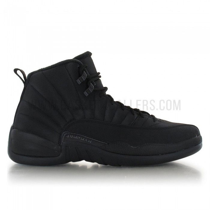 Air Jordan 12 Retro Winterized