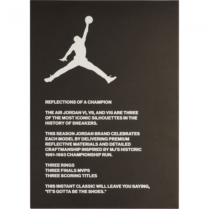 Air Jordan 6 Retro Sp reflect silver/infrared-black