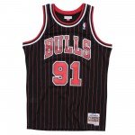 Color Noir du produit Maillot NBA Dennis Rodman Chicago Bulls 1995-96...