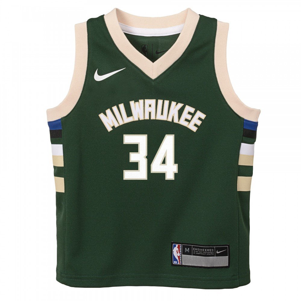 Women's Nike Giannis Antetokounmpo Green Milwaukee Bucks Swingman Jersey -  Icon Edition