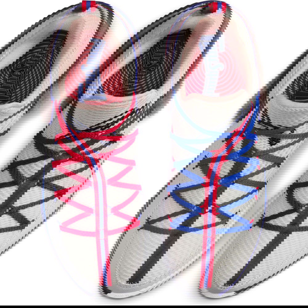 nike lebron toon squad
