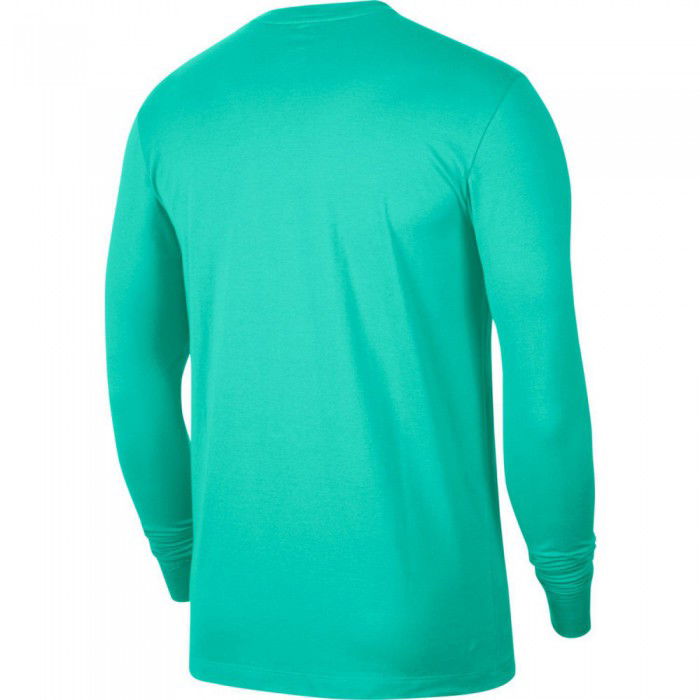 jordan turquoise shirt