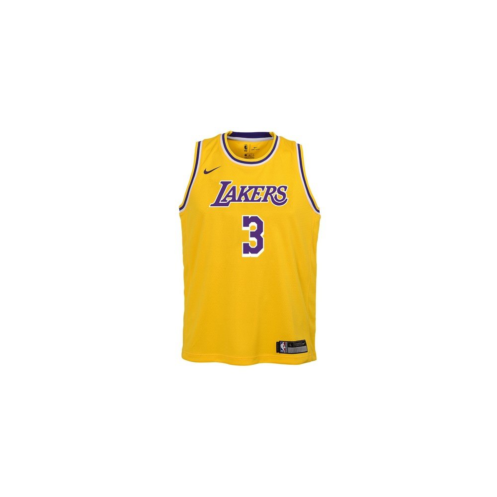 Anthony Davis Los Angeles Lakers Nike Youth Swingman Jersey - Icon